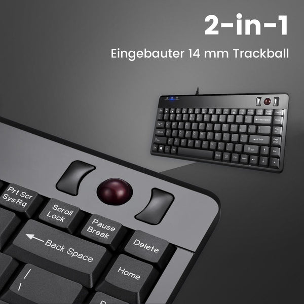 Trackball zur Steuerung der Mausfunktion