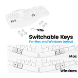 PERIBOARD-612 W - Wireless White Ergonomic Keyboard plus Bluetooth Connection with switchable keys for both Mac and Windows layout.